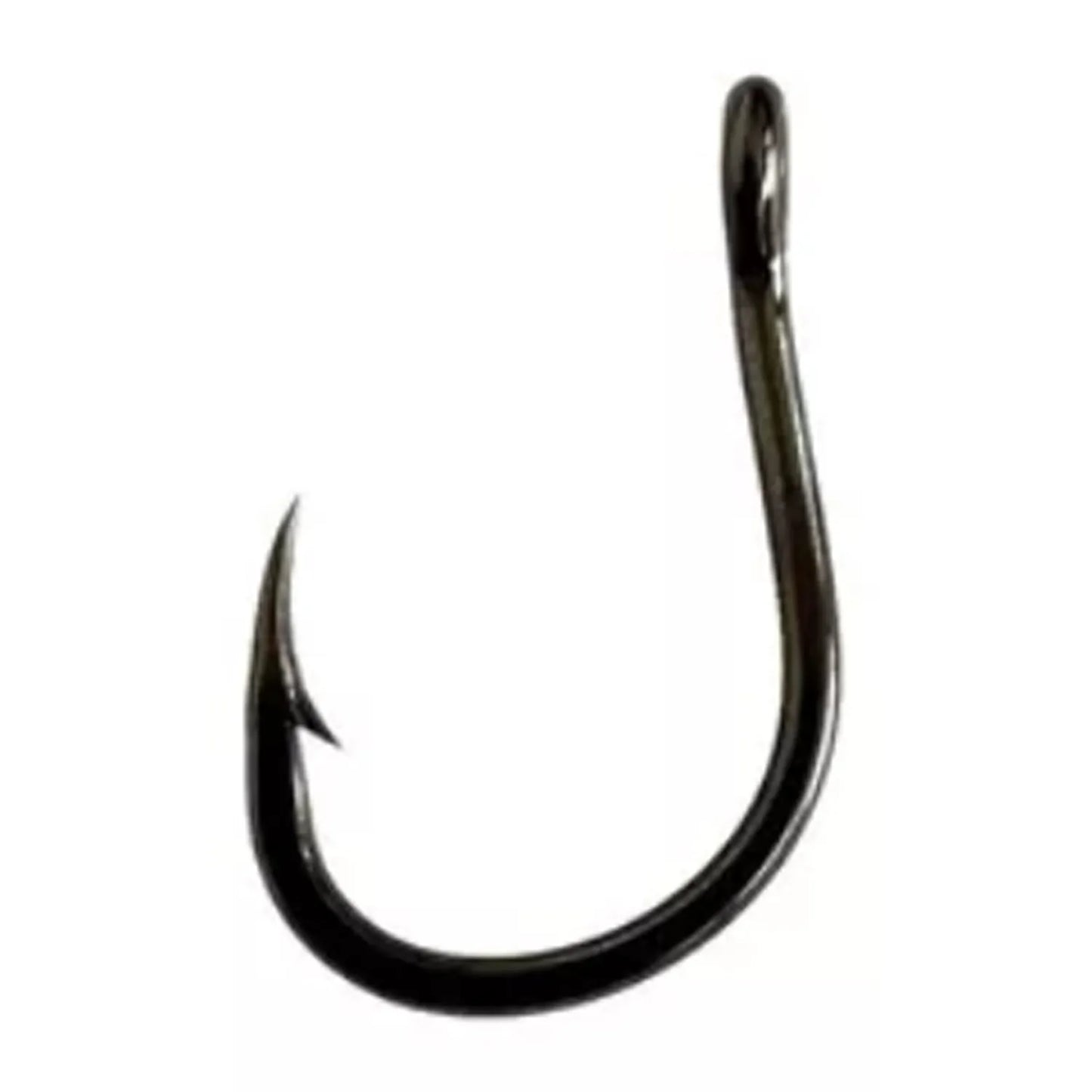 ANZOL KOISO BLACK 24 / CROWN