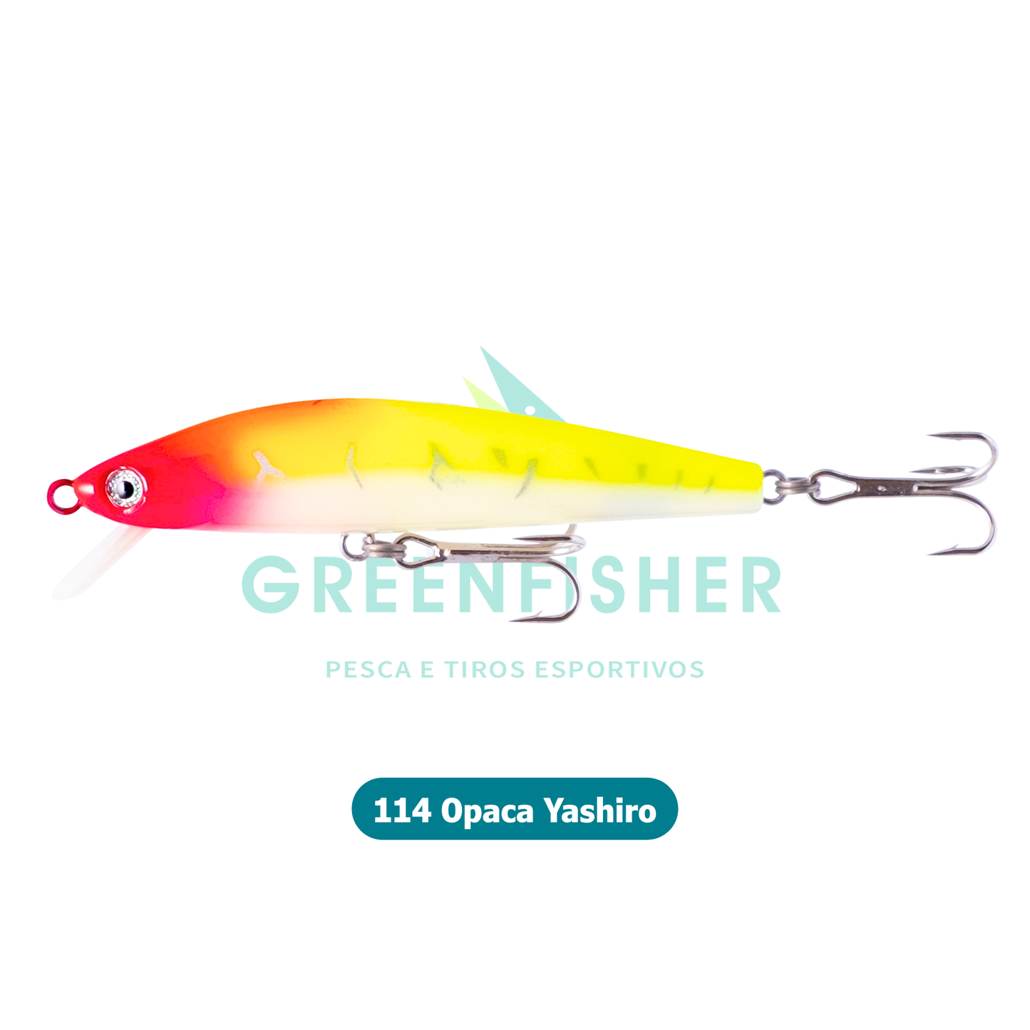 ISCA QUEEN 90 - 12GR / NELSON NAKAMURA
