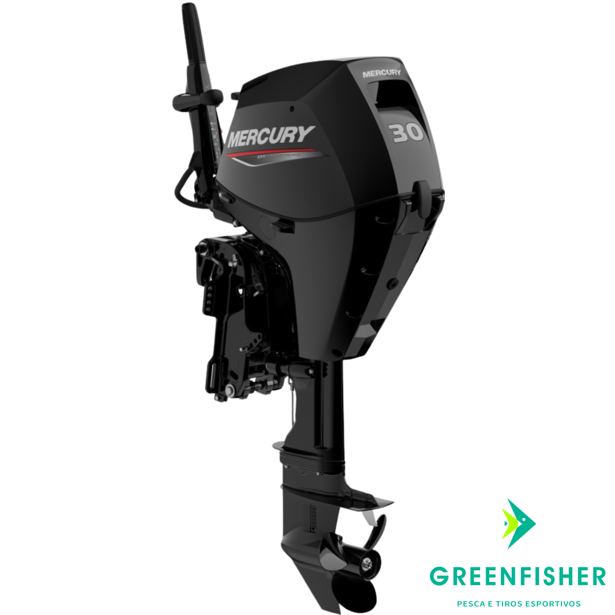 MOTOR 30 MHGA 2T/ MRCURY