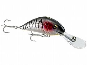 2165_Isca_4.jpg