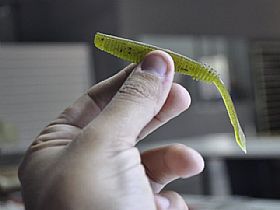 2338_Isca_4.jpg