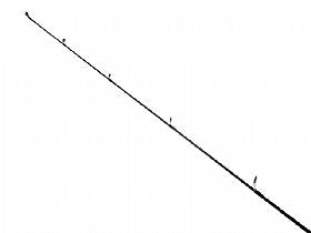 3550_Vara_3.jpg