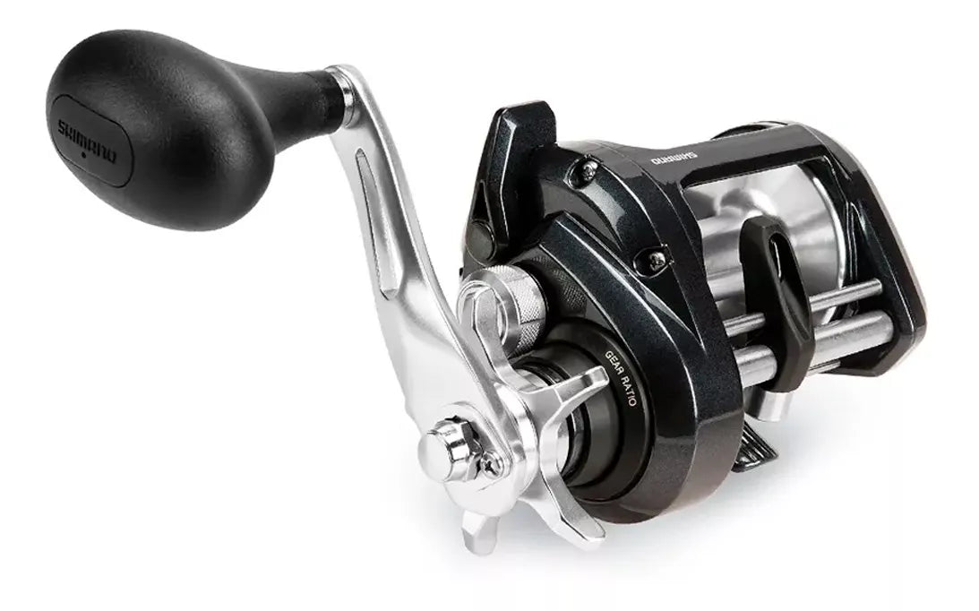 CARRETILHA TEKOTA 800PG / SHIMANO