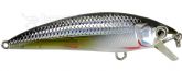 5769_Isca_2.jpg