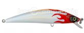 5958_Isca_0.jpg