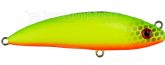 6074_Isca_6.jpg
