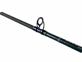 VARA EVOLUTION 6'0 - 15-30LB CARRETILHA / MARINE SPORTS