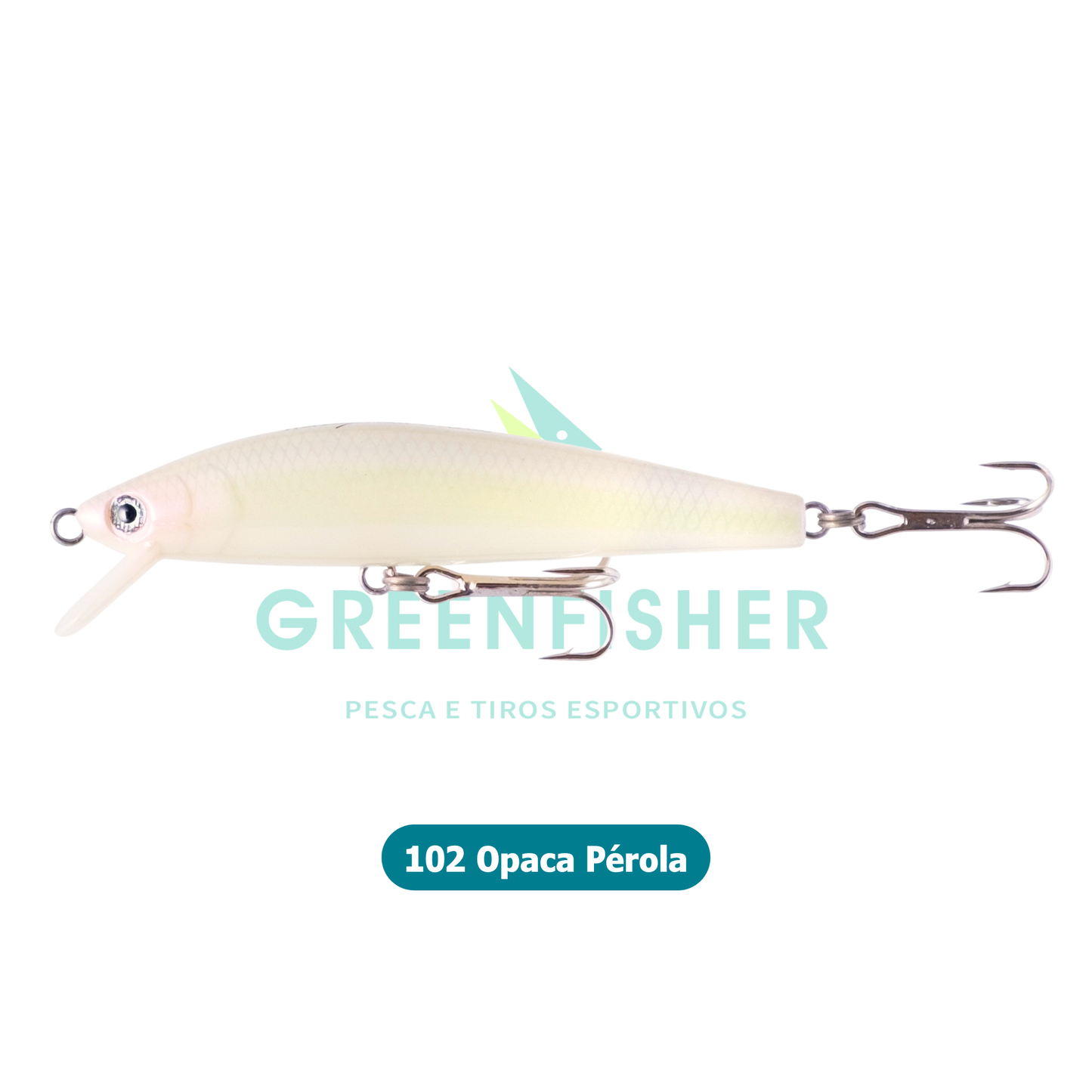 ISCA QUEEN 90 - 12GR / NELSON NAKAMURA