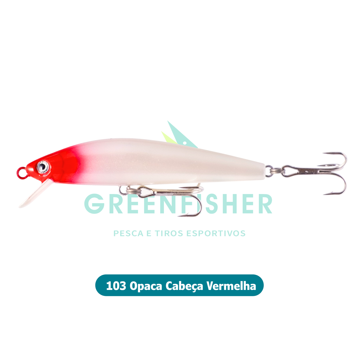 ISCA QUEEN 90 - 12GR / NELSON NAKAMURA