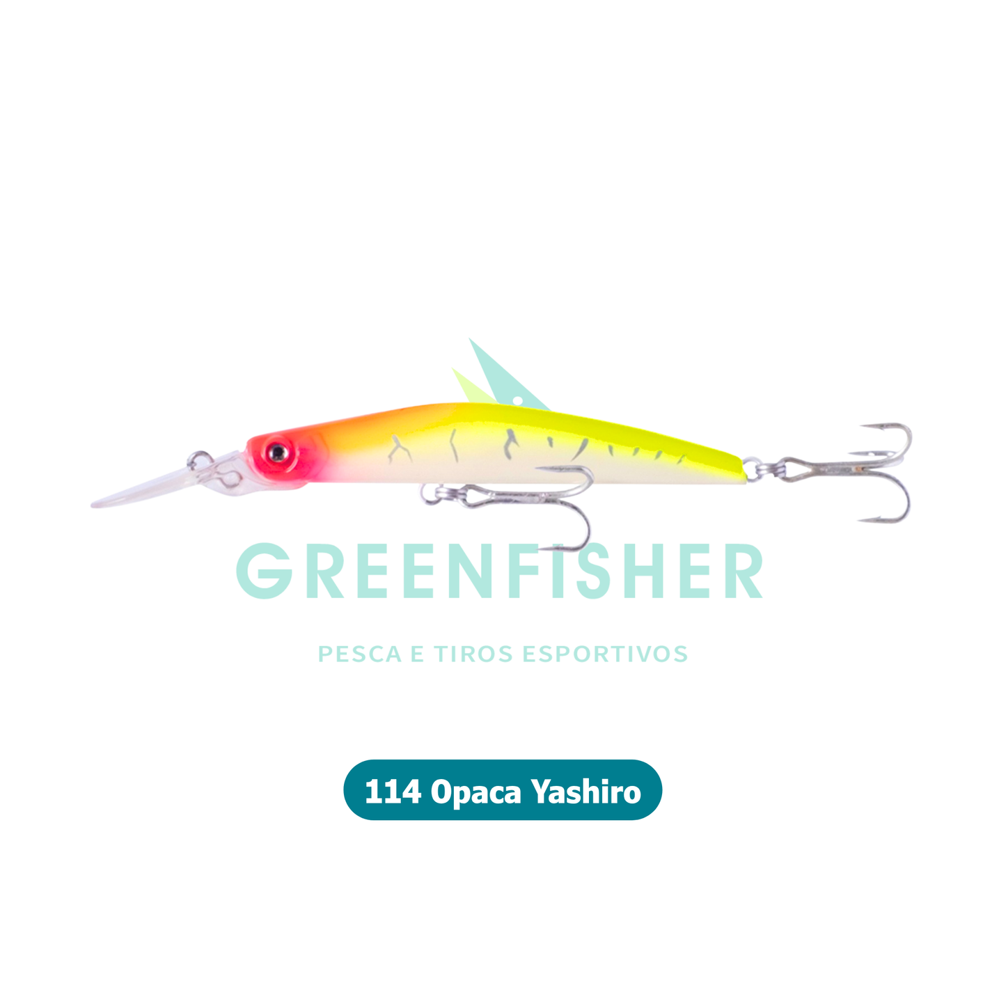 ISCA SOGRA 90 - 12GR / NELSON NAKAMURA