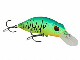 1528_Isca_4.jpg