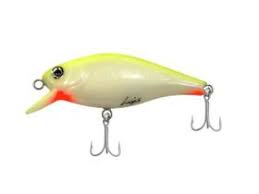 ISCA LIPS - 7CM 9,5G COR 41 / KV