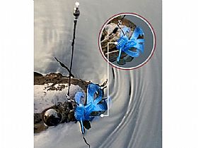 2089_Isca_4.jpg