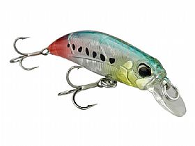 2195_Isca_0.jpg