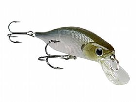 2470_Isca_2.jpg