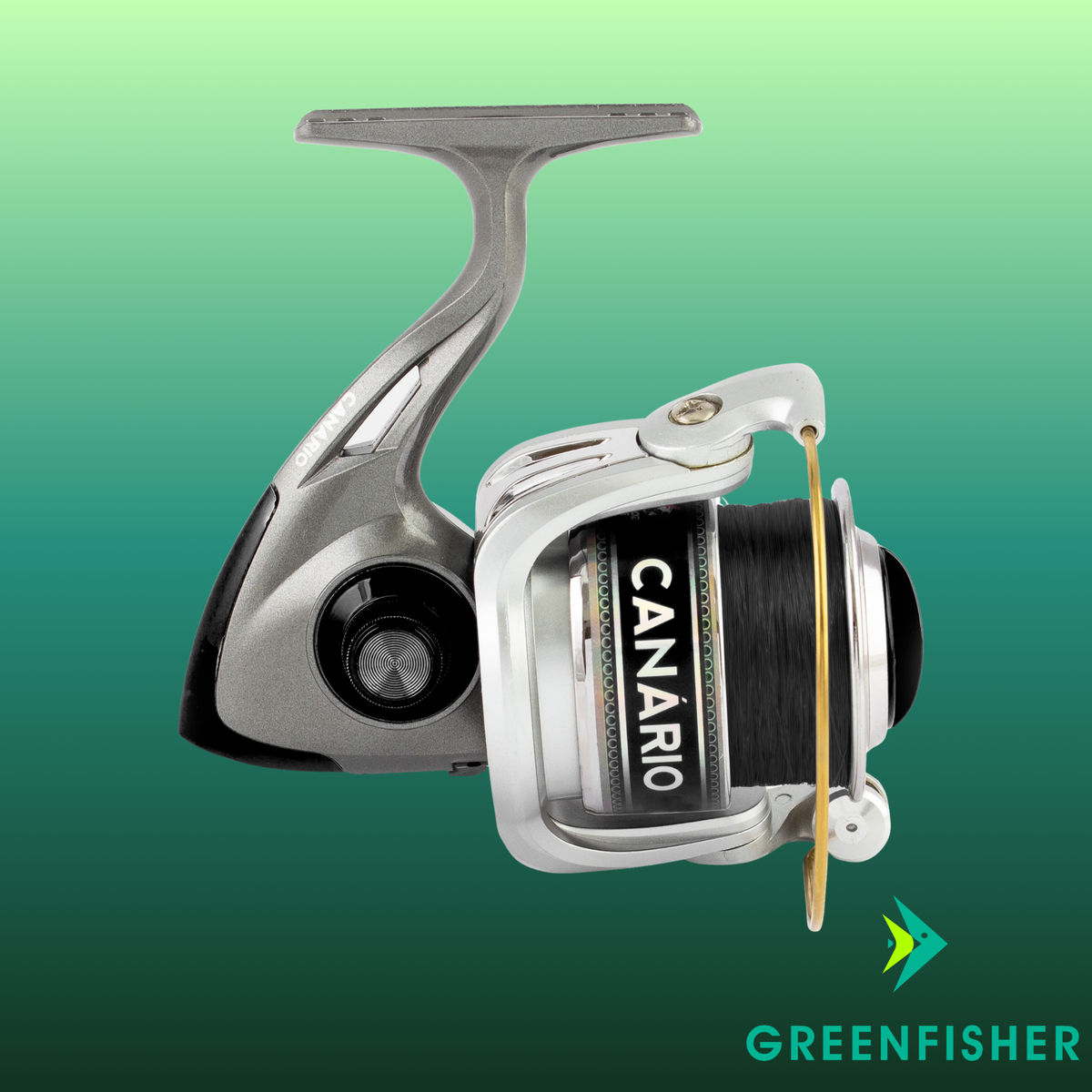 MOLINETE CANARIO BLACK / ALBATROZ FISHING