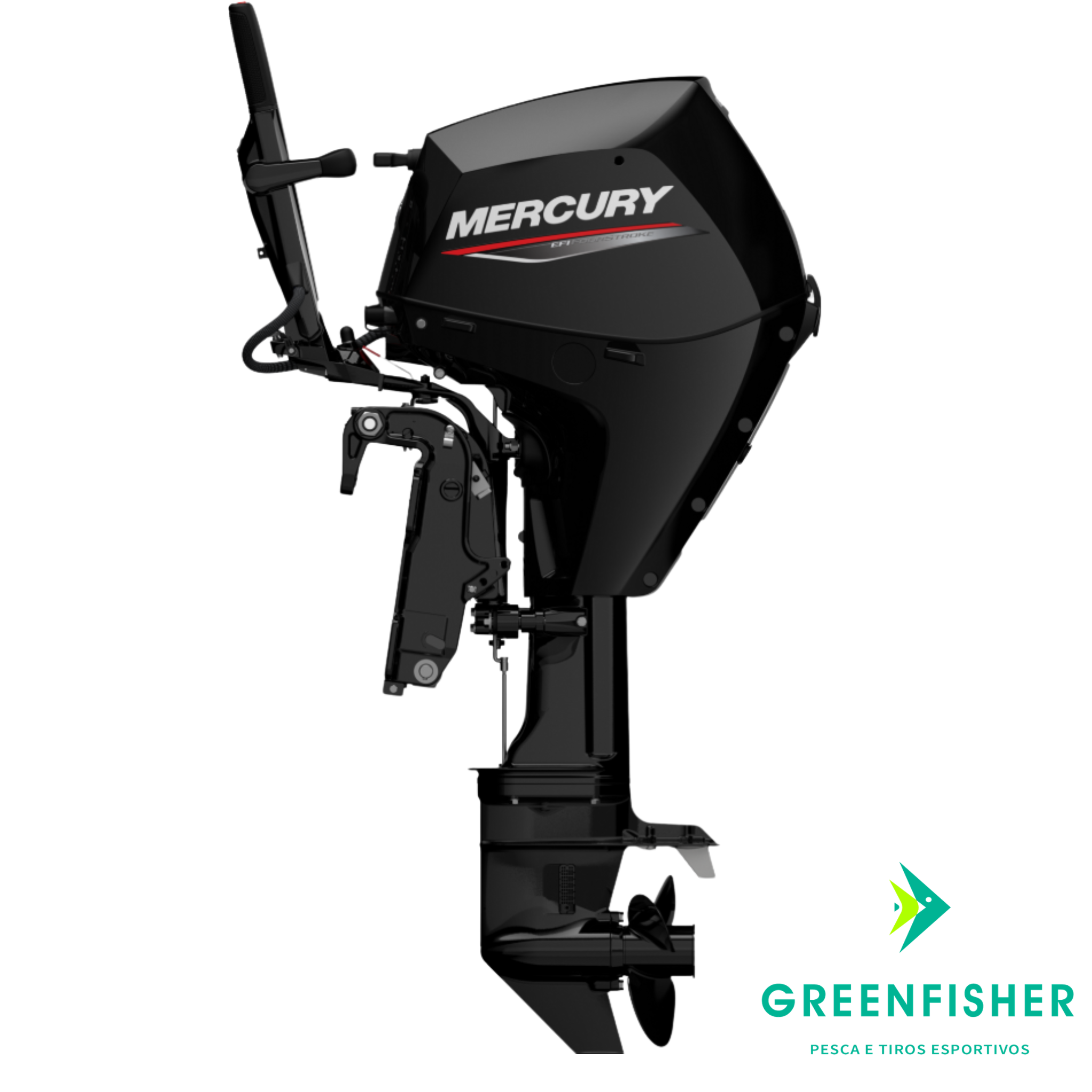 MOTOR 30 MHGA 2T/ MRCURY