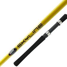 VARA SKYLINE 6'0 15-30LB MOLINETE / SAINT