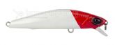5381_Isca_1.jpg