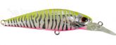 5402_Isca_4.jpg