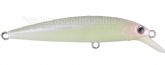 5744_Isca_1.jpg