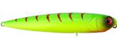 5910_Isca_14.jpg