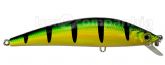 5968_Isca_10.jpg