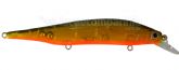 6620_Isca_4.jpg