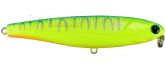 6963_Isca_7.jpg