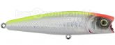 7037_Isca_3.jpg