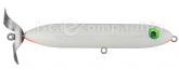 8514_Isca_1.jpg