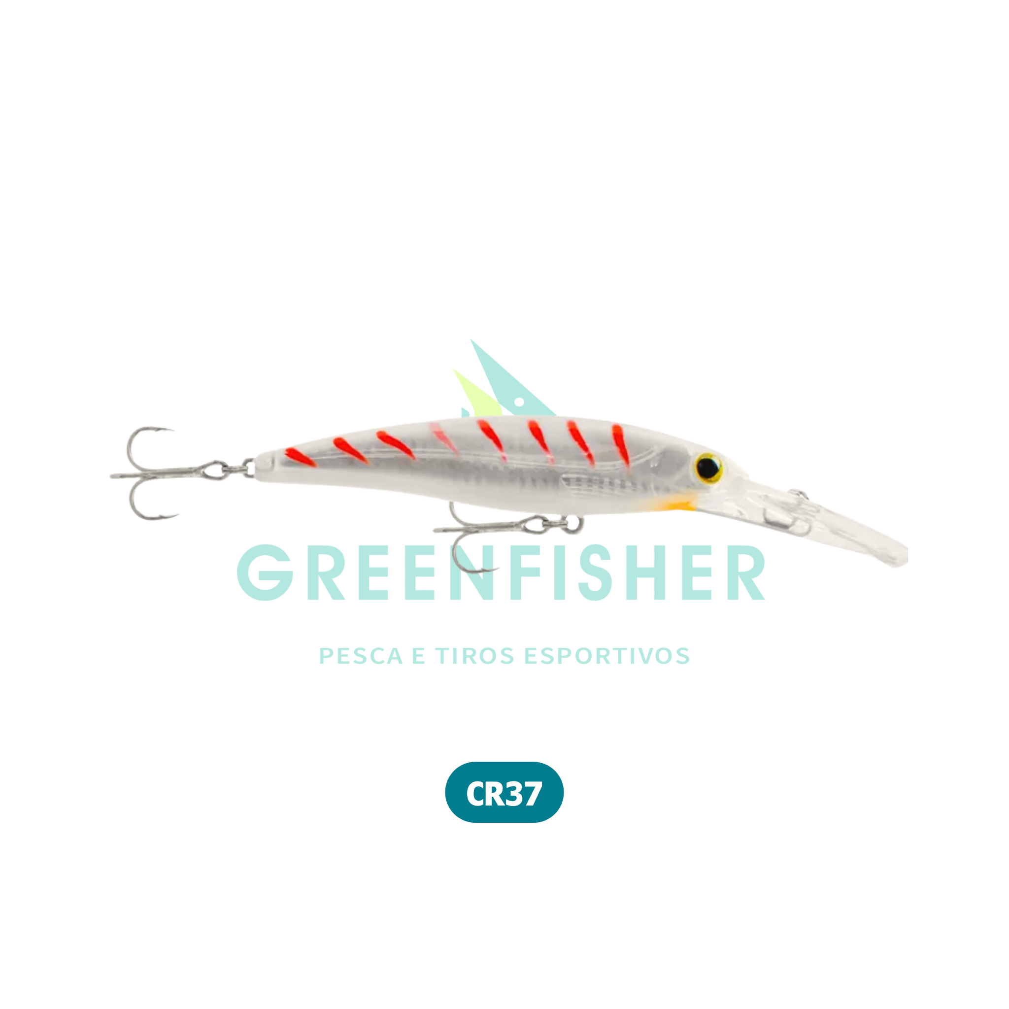 ISCA CHERNE RAP 90 - 13GR / CROWN